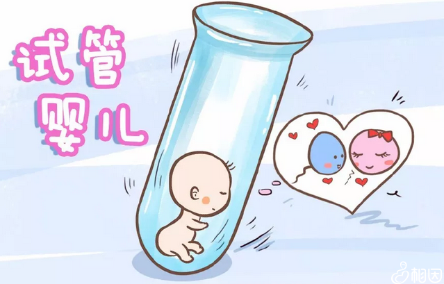 安满孕妇奶粉