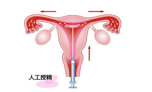 孩子身体抖动
