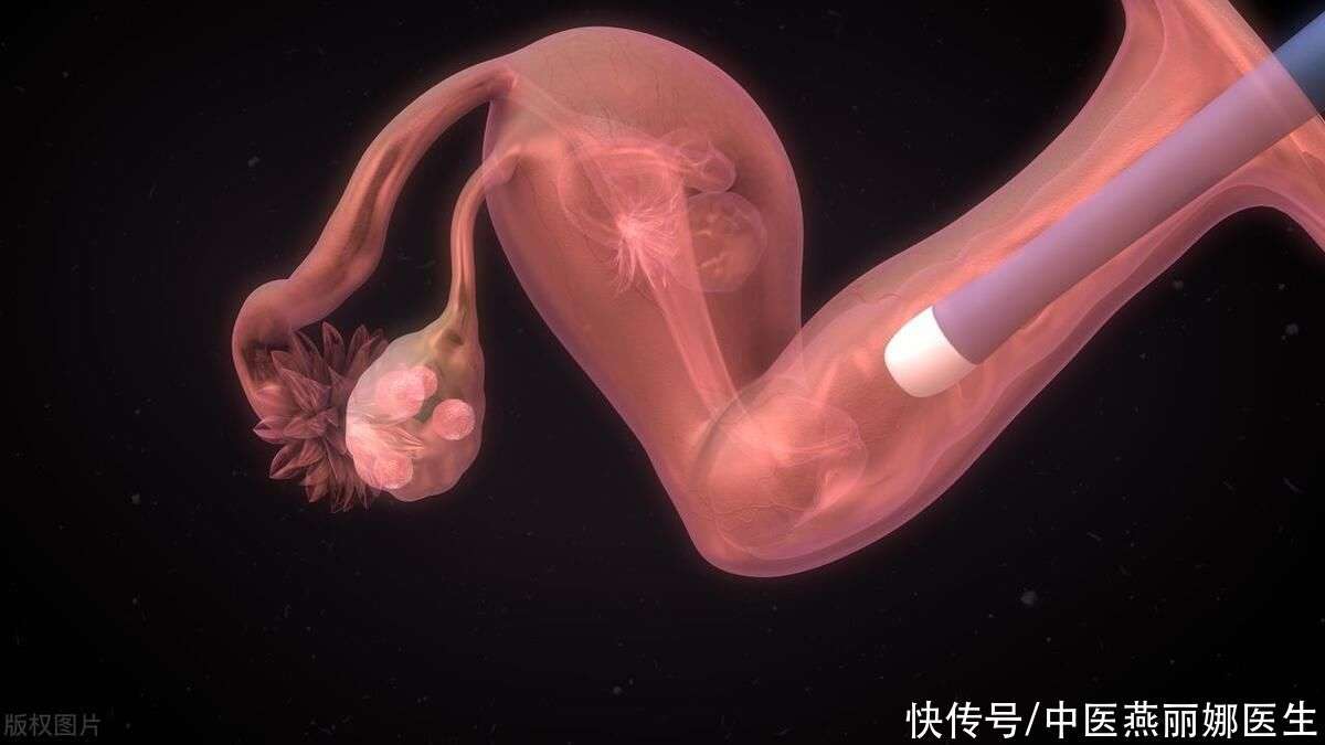 安满幼儿奶粉