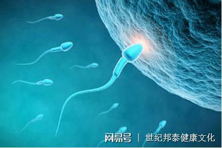 安徽小产假