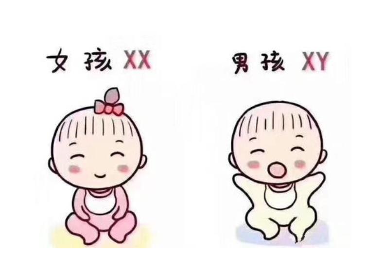 安徽省产假