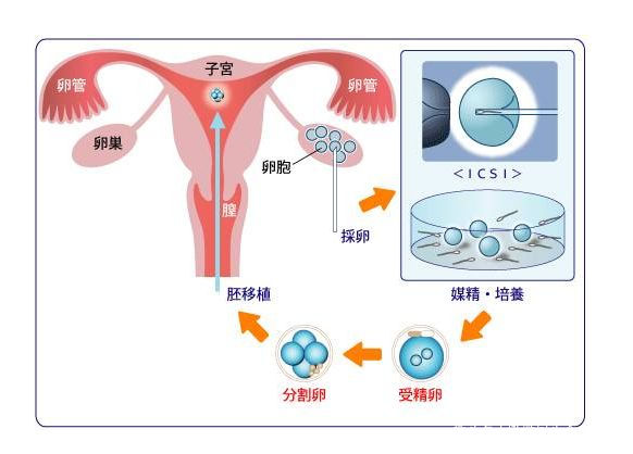孕妇感冒