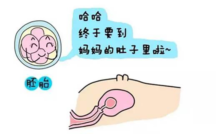孩子被人欺负