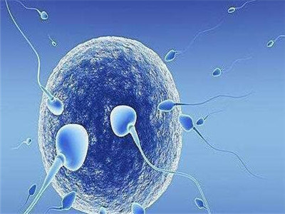 孕妇检查项目时间表