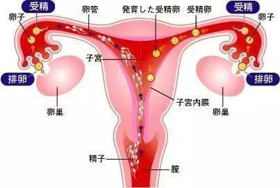 宝宝一百天祝福语
