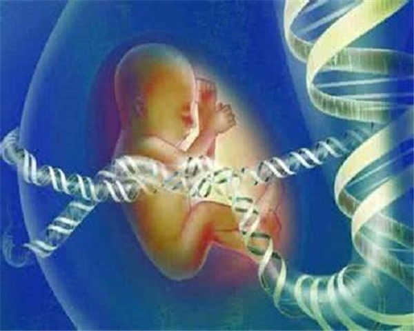 孕妇检查报告