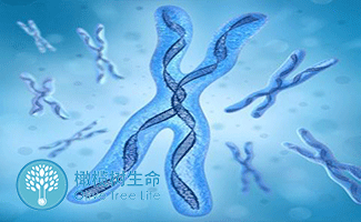 孕妇感冒