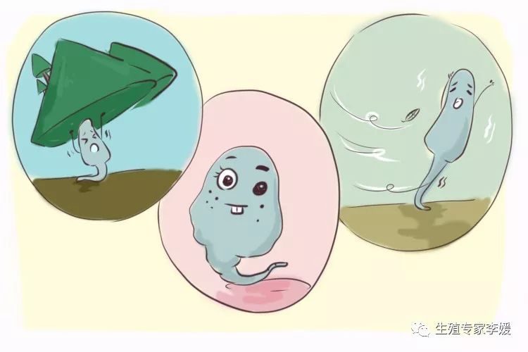 儿童
