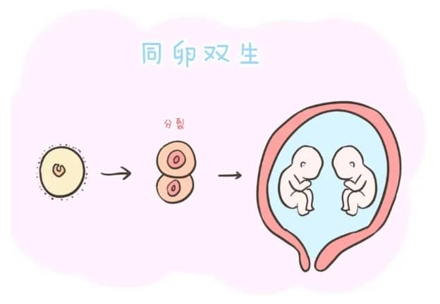 安全期计算器